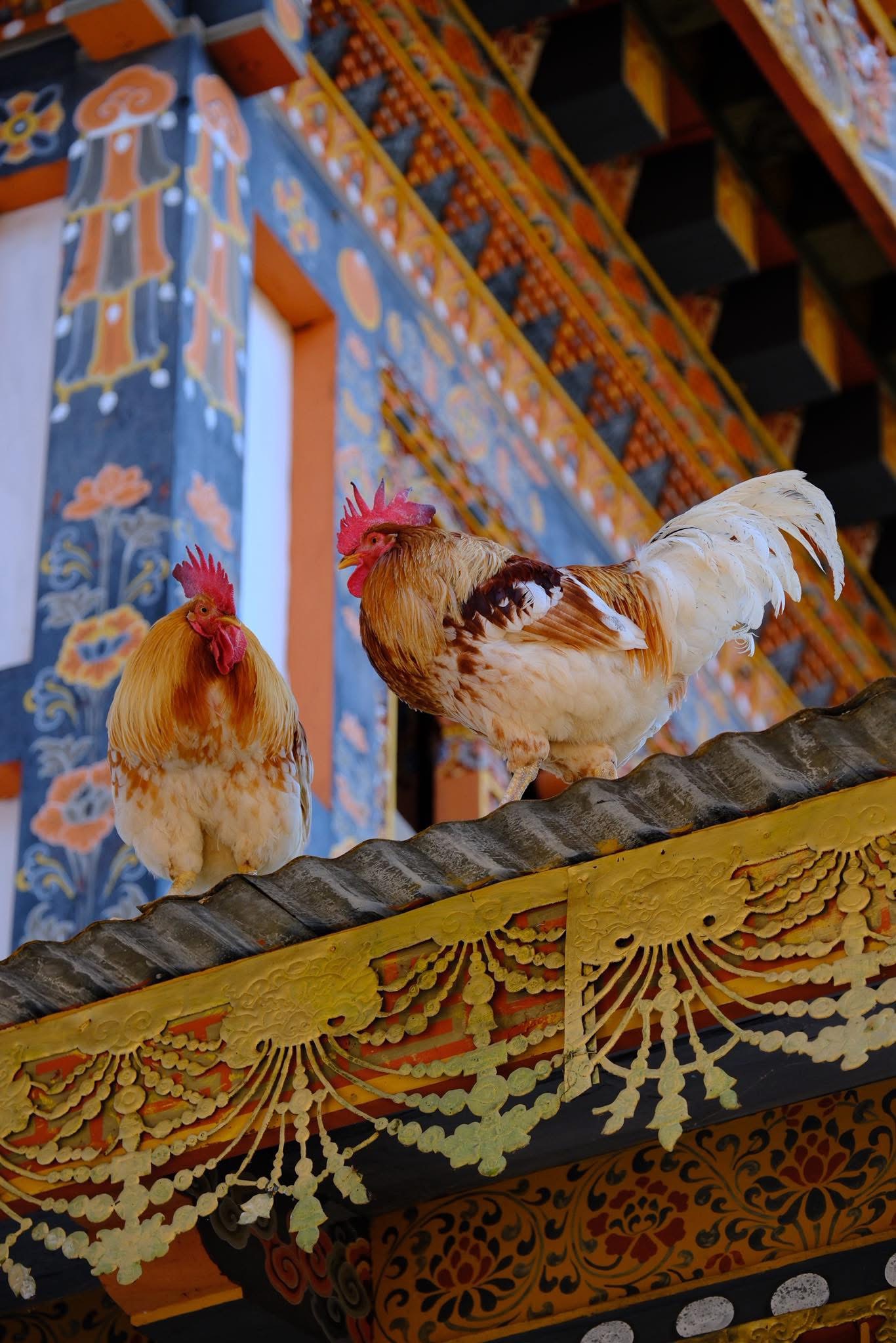 Roosters on monastery roof